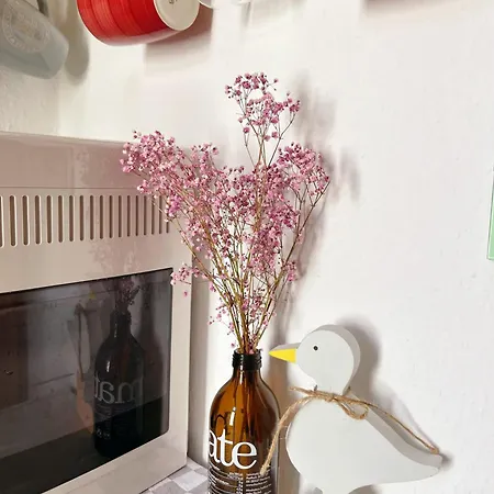 Schoenes, Zentral Gelegenes Kulturzimmer * Érfurt