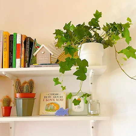 Schoenes, Zentral Gelegenes Kulturzimmer *